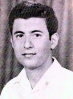 Dov Indig